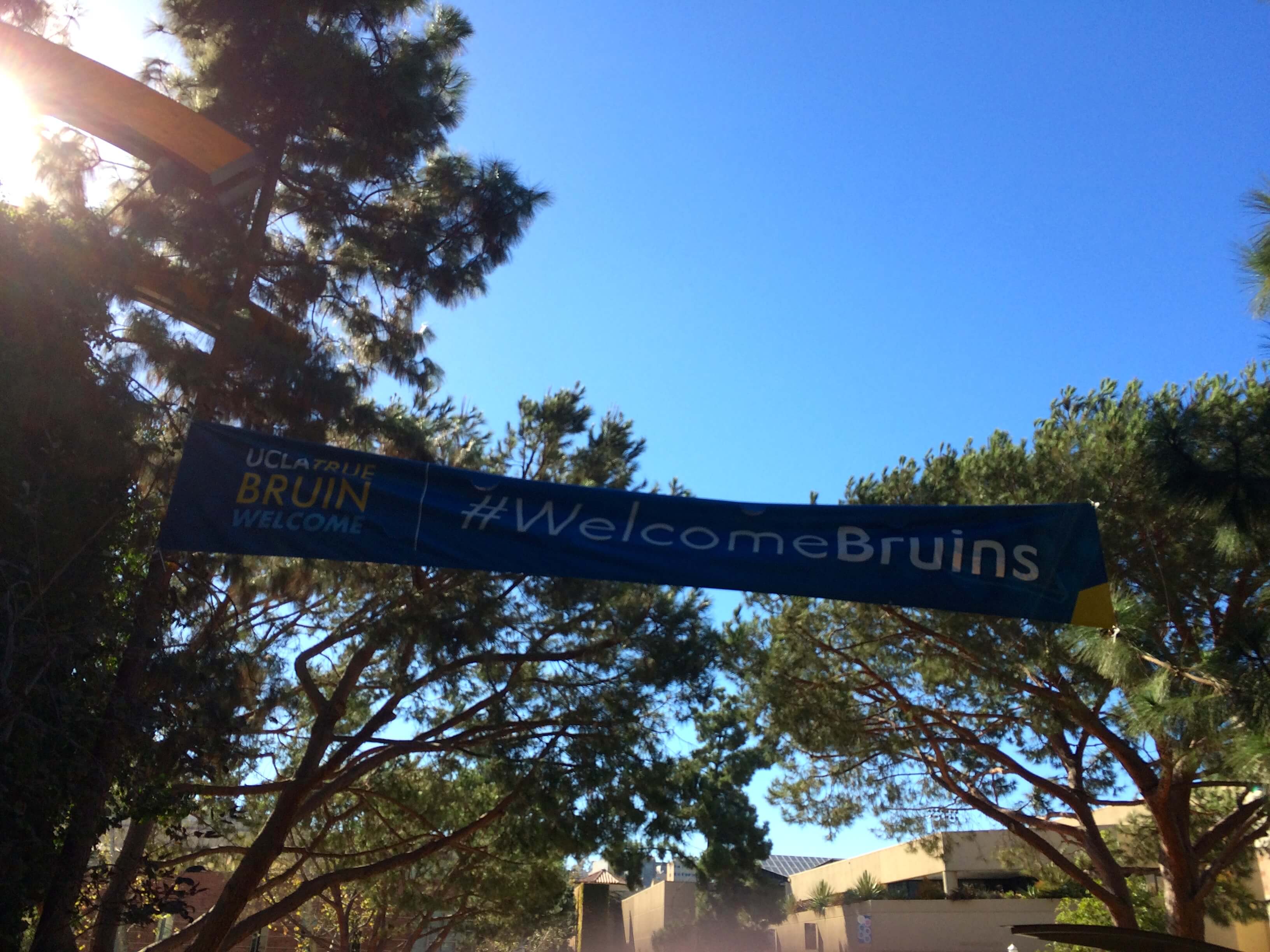 Ucla New Student Orientation - ca3k6eh