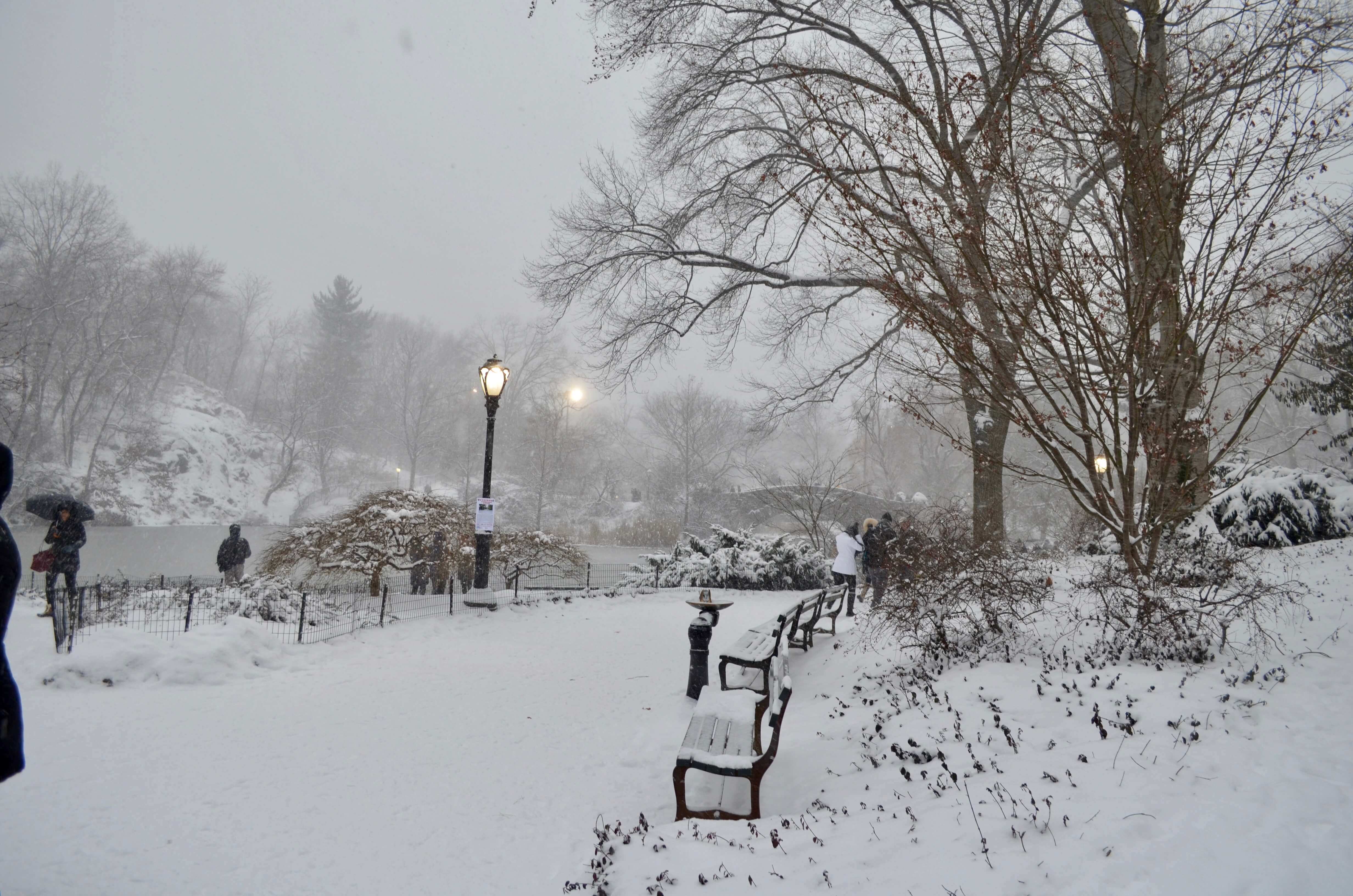 Après un hiver doux, New York enfin sous la neige