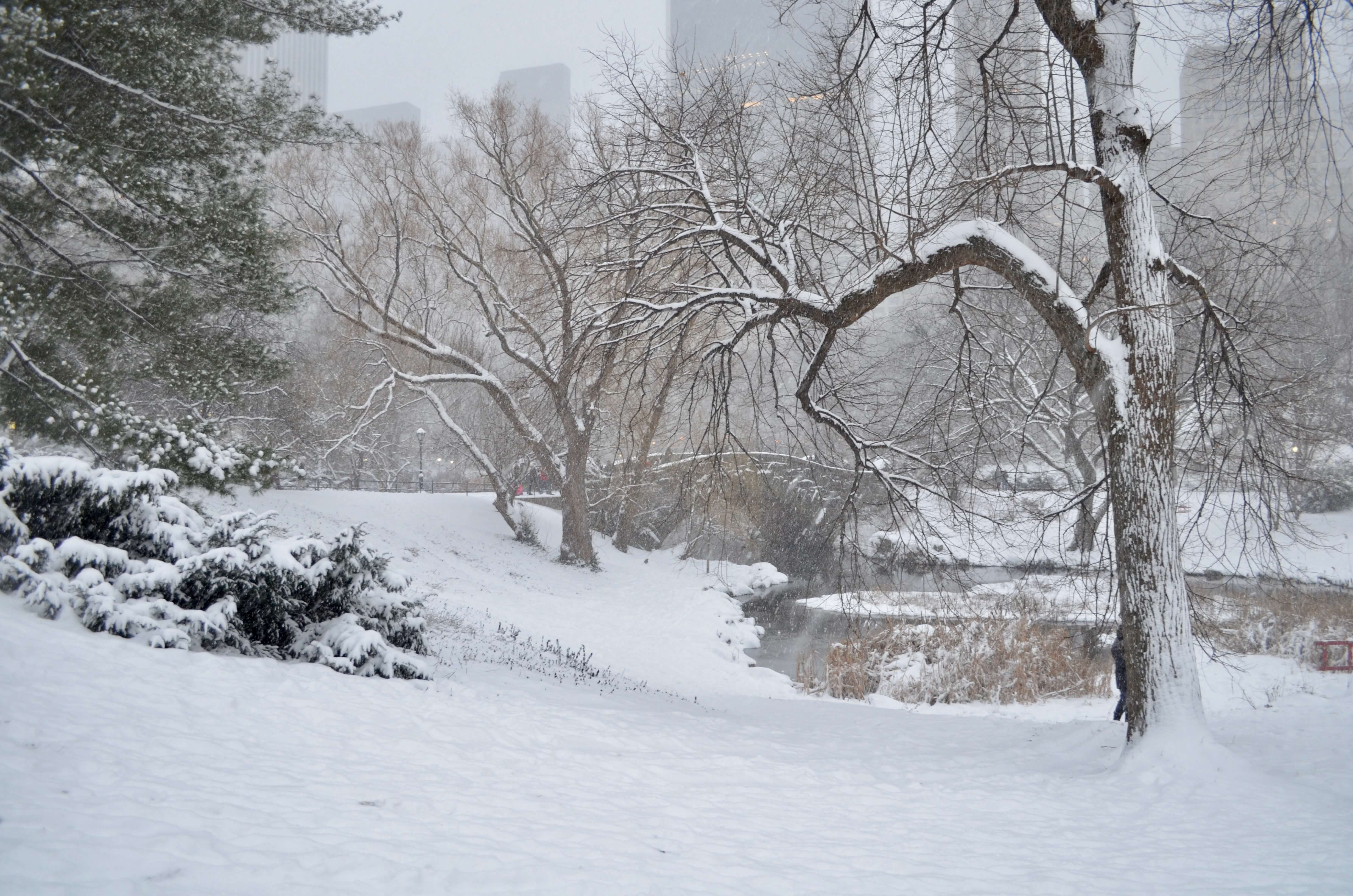 Après un hiver doux, New York enfin sous la neige