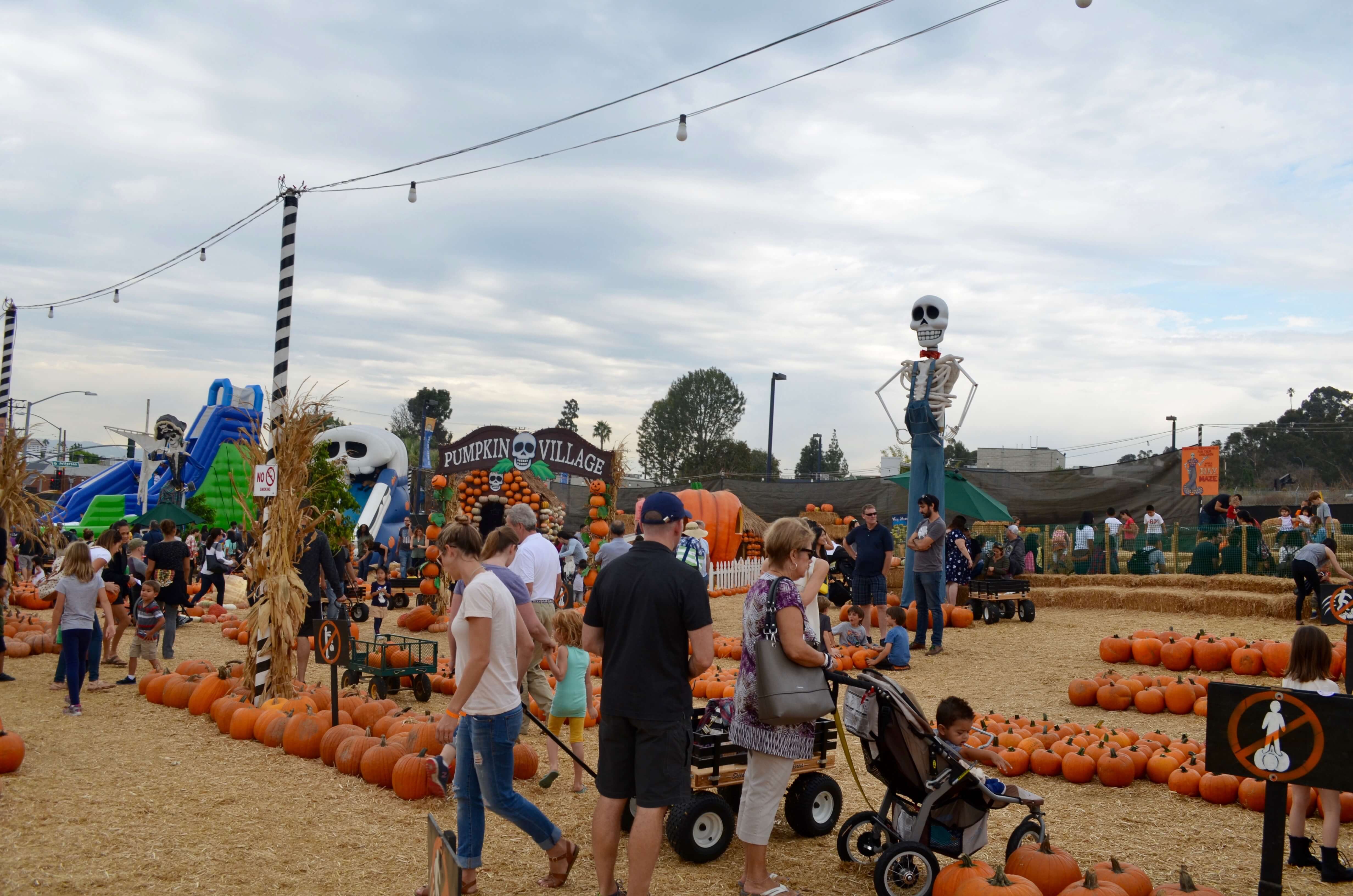 Mr. Bones Pumpkin Patch Gaelle in Los Angeles